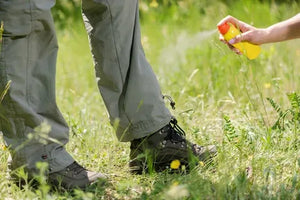 Can Chiggers Survive on Clothing?