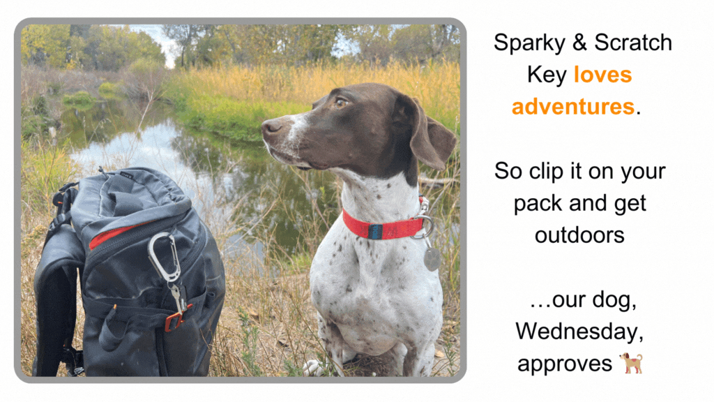 Sparky & Scratch Key - BSG