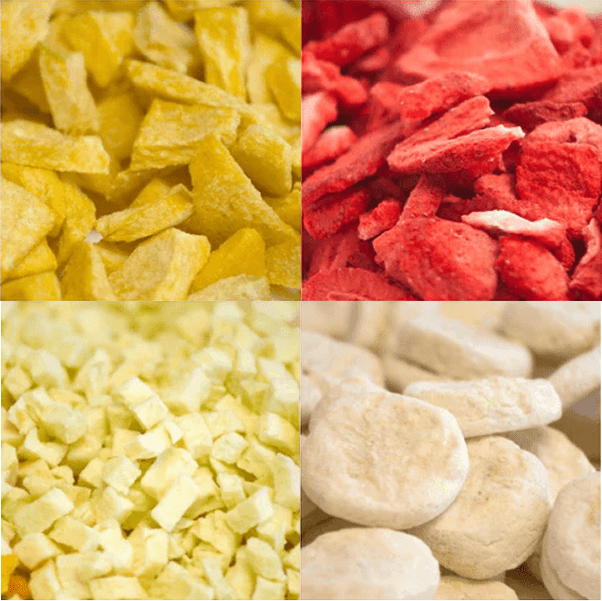 120 - Serving Freeze - Dried Fruit Bucket – 20 - Year Emergency Food Supply, Grab - N - Go - BSG