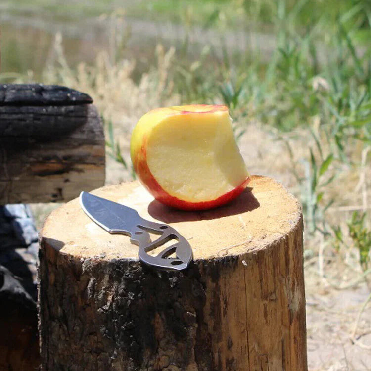 Knife and half-eaten apple on a wooden stump with a natural background