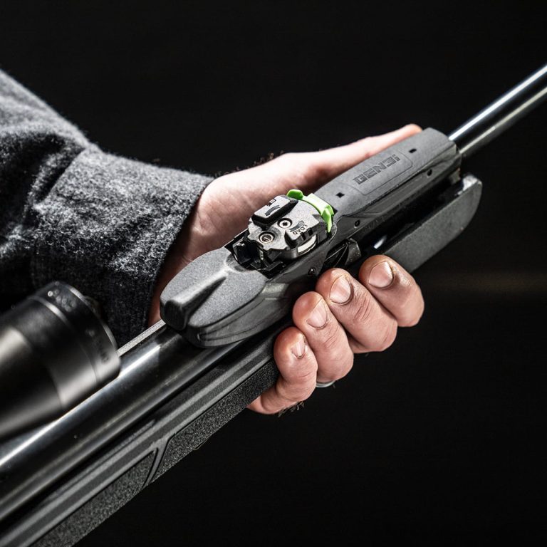 3–9×40 scope mounted on the RRR recoil-reducing 11 mm rail of the Gamo Swarm Magnum