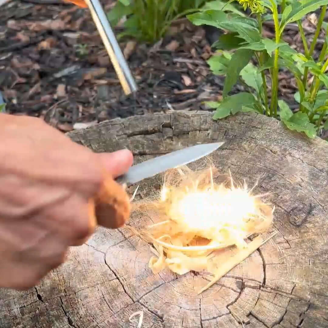 Quick Feather Folding Knife - BSG