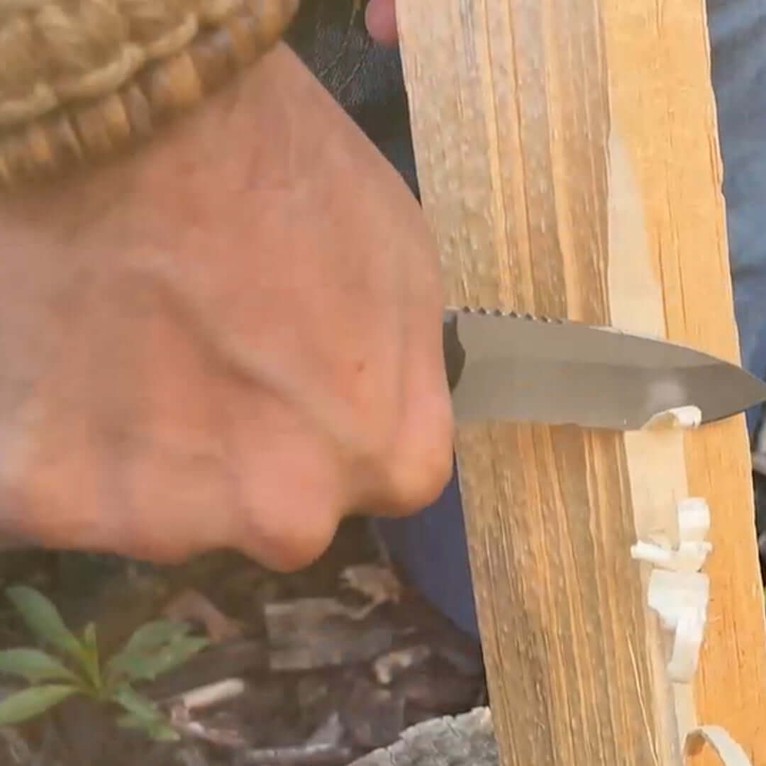 Quick Feather Folding Knife - BSG